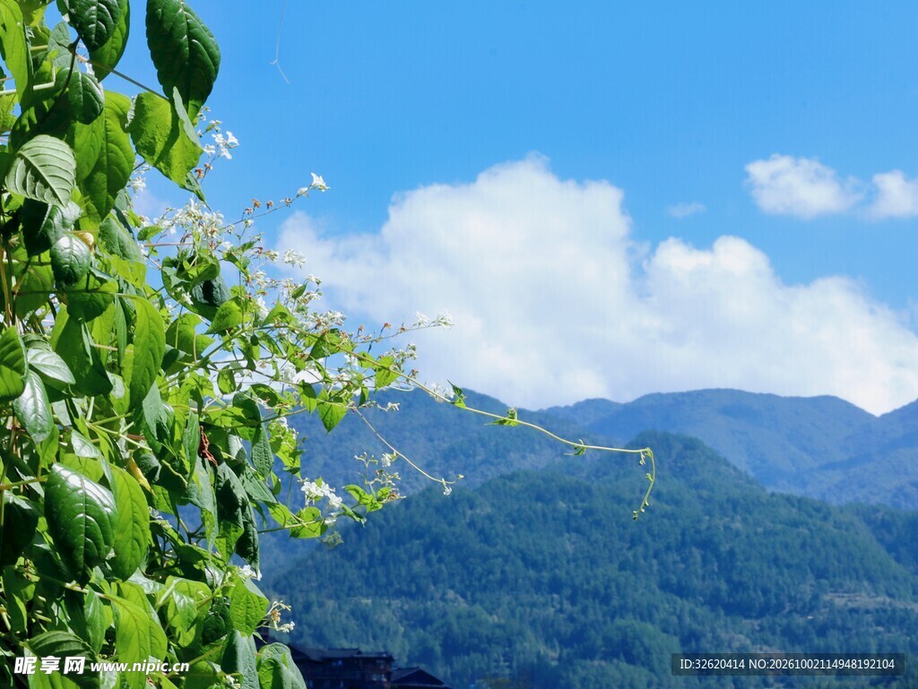 晴日山野自然风景