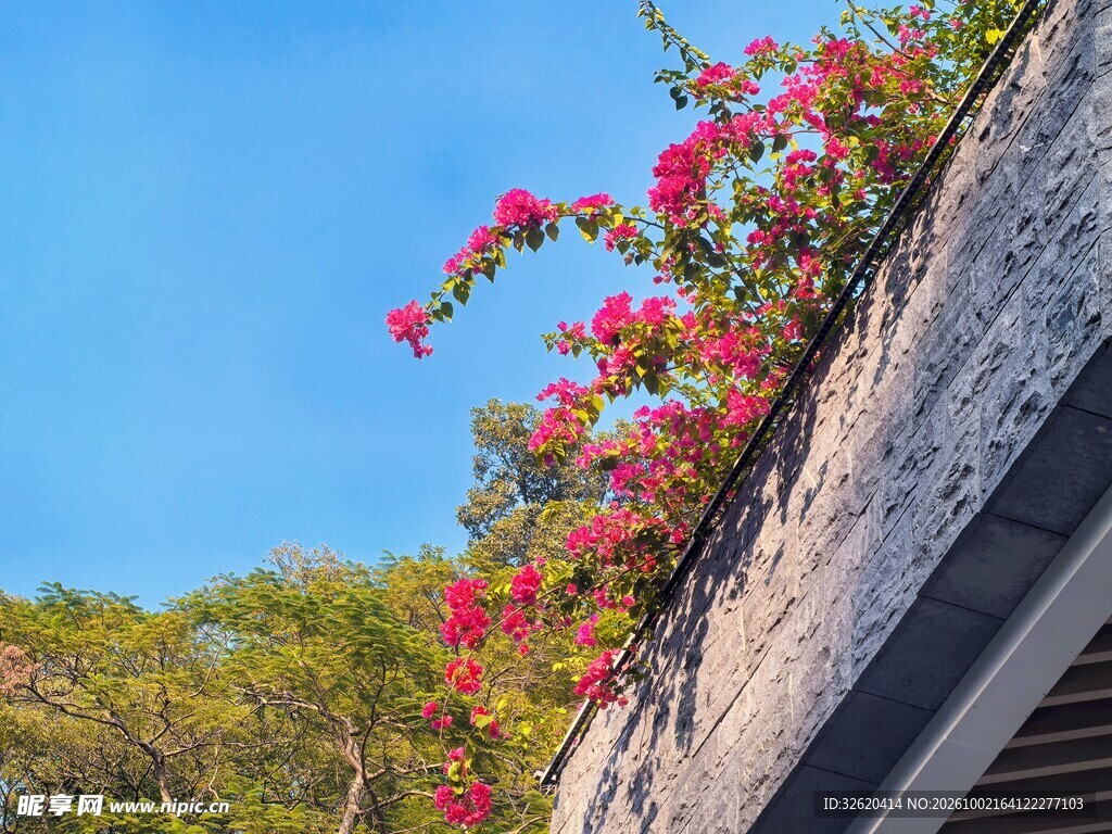 檐角红花映蓝天