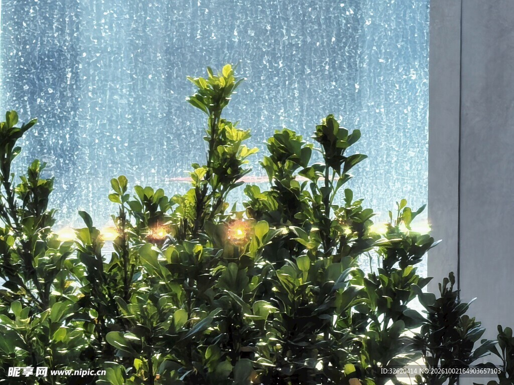 窗边绿植蓝天景致