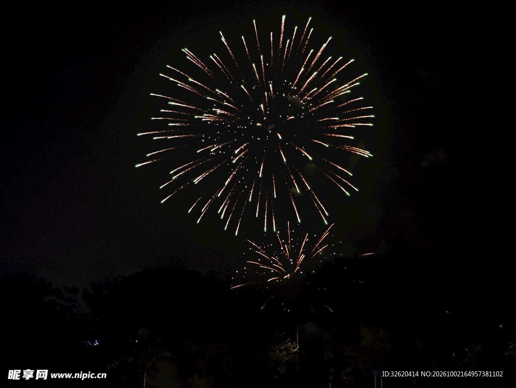 夜空绽放的烟花