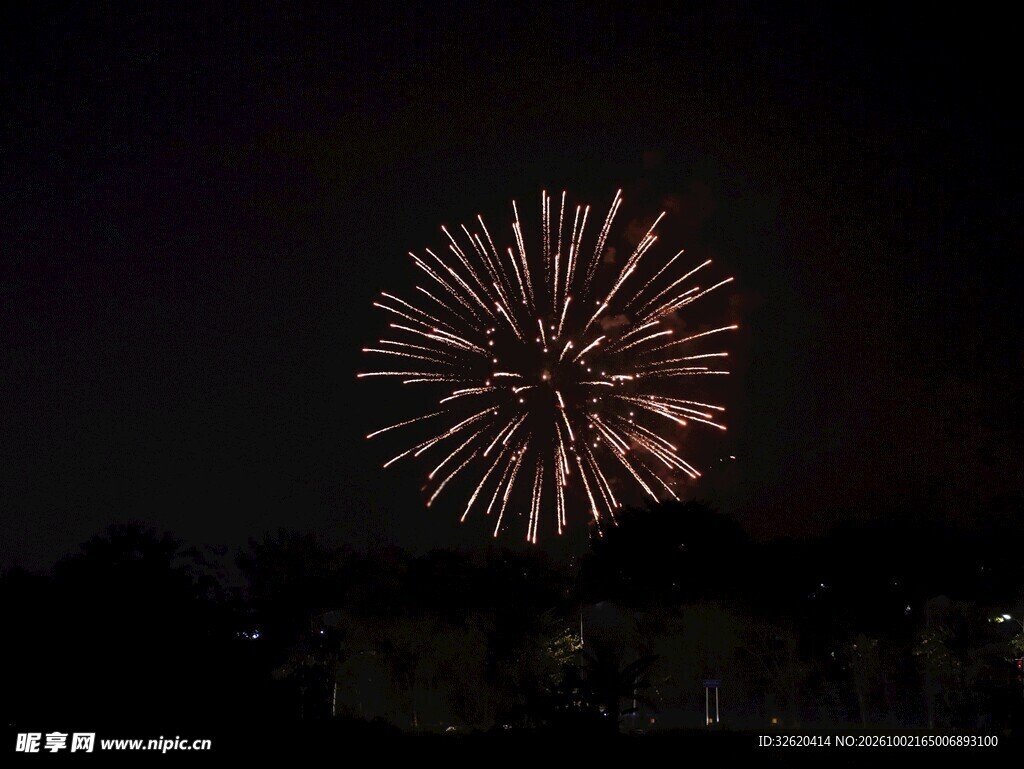 夜空盛放的烟花