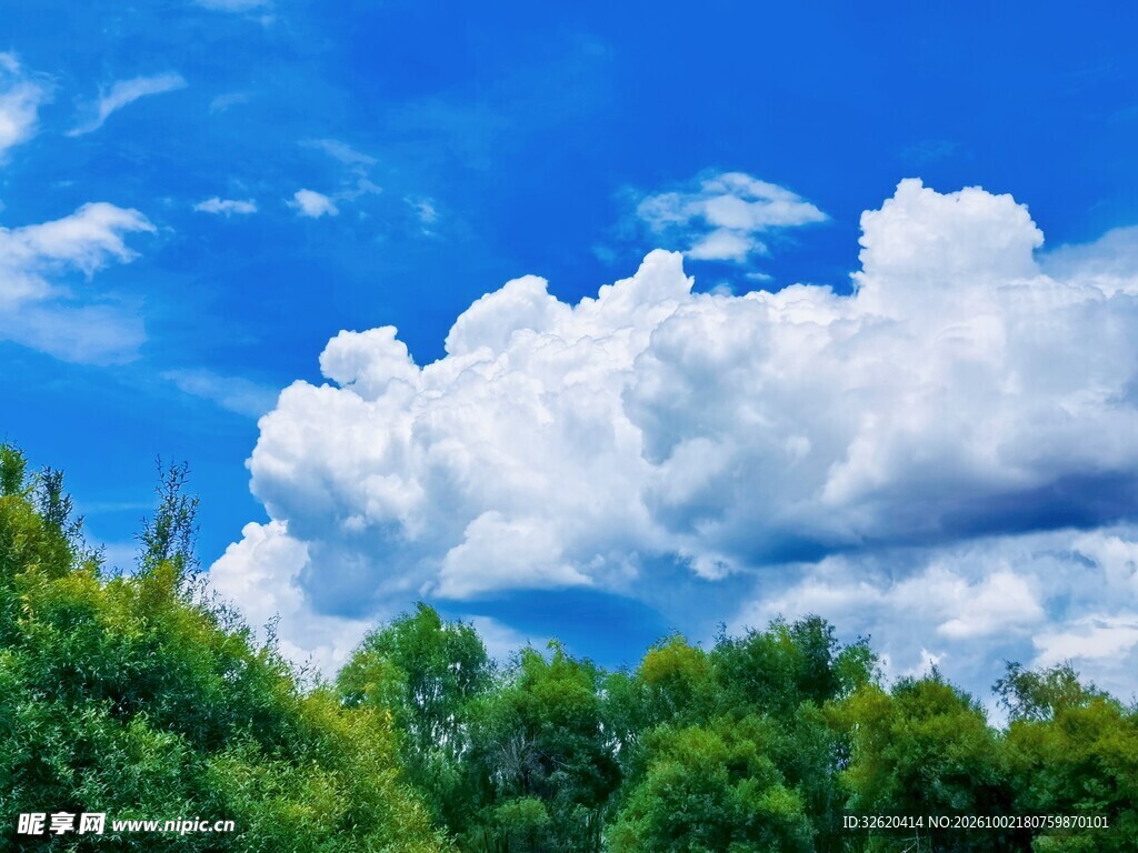 晴空下的树林与白云