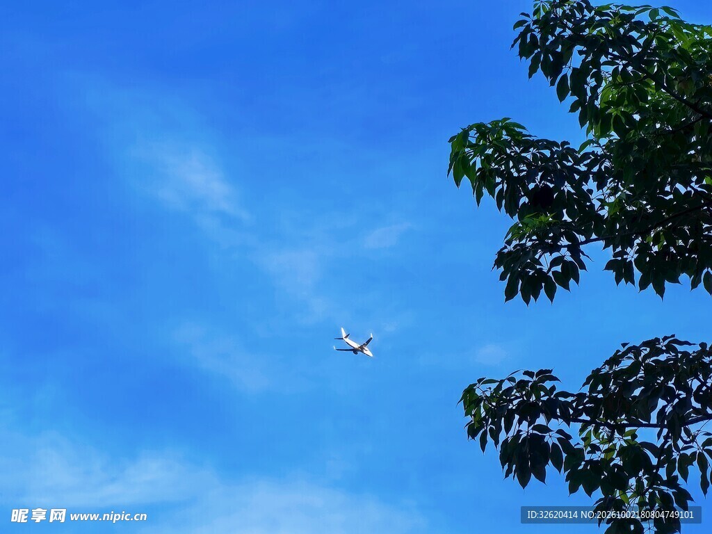 蓝天绿树景致