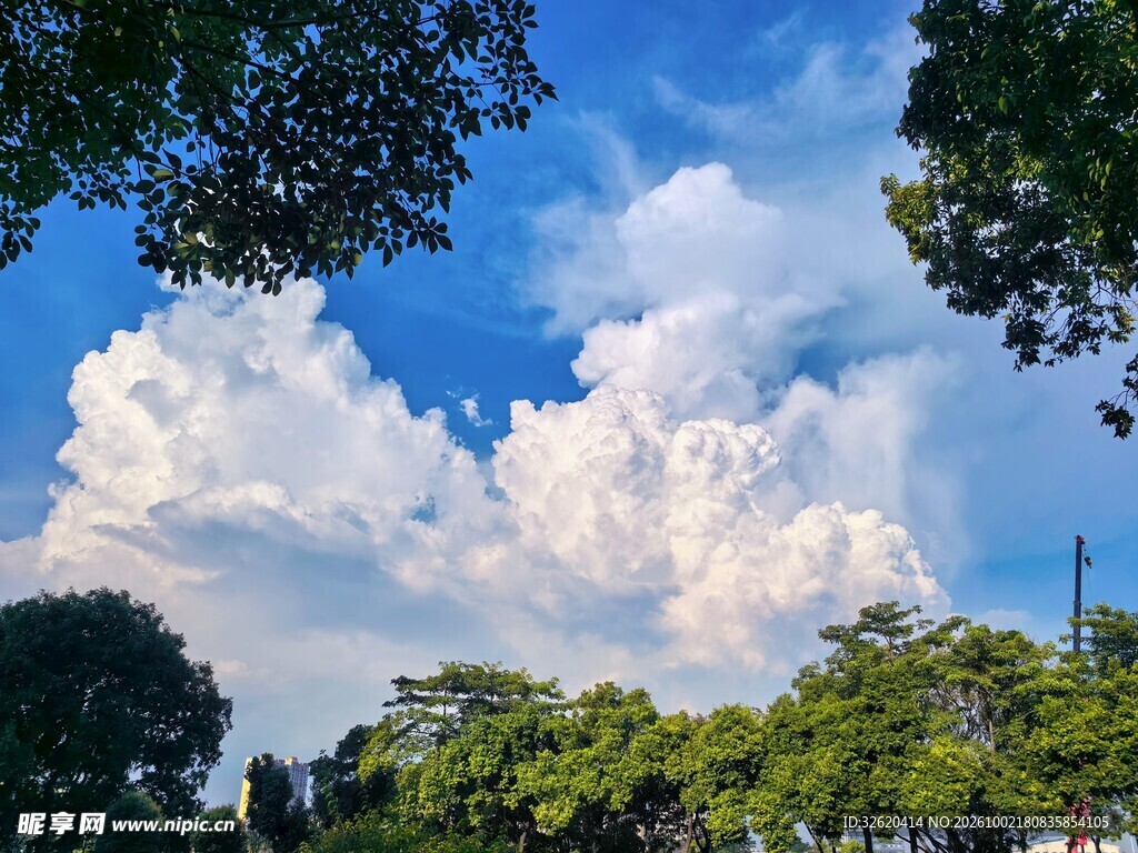 蓝天绿树白云