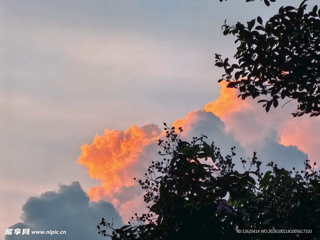 晚霞天空树影风光