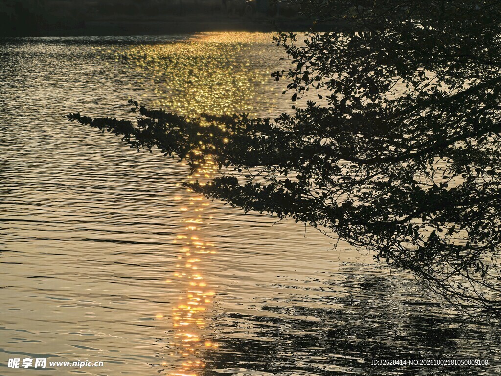 夕照湖面光影波纹