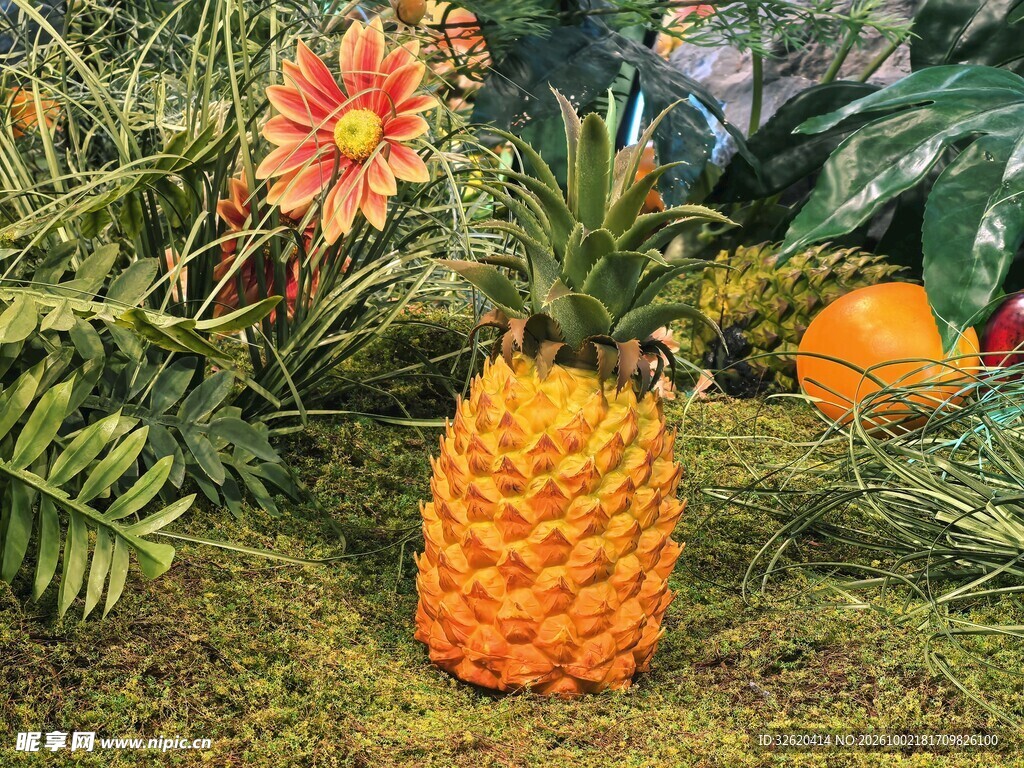 菠萝与花草