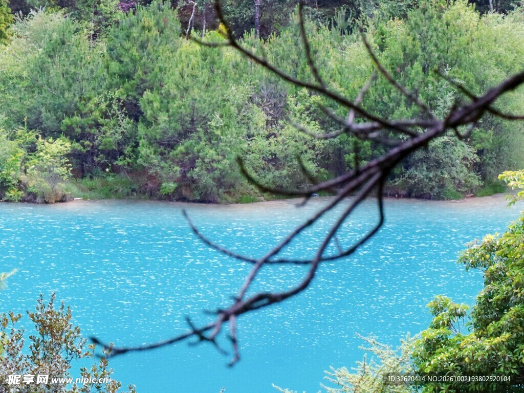 蓝湖林间风光