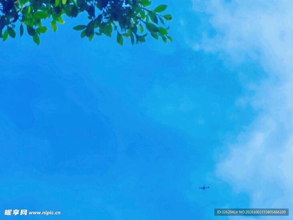 蓝天绿叶清新风景