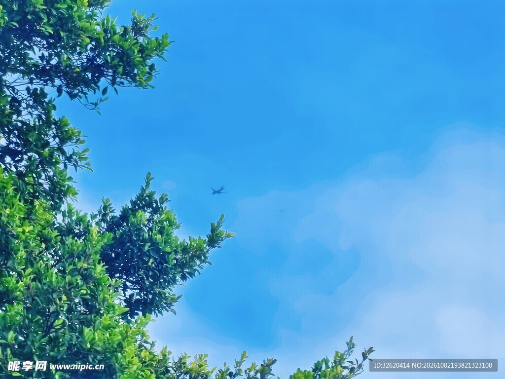 蓝天绿树晴朗户外风光