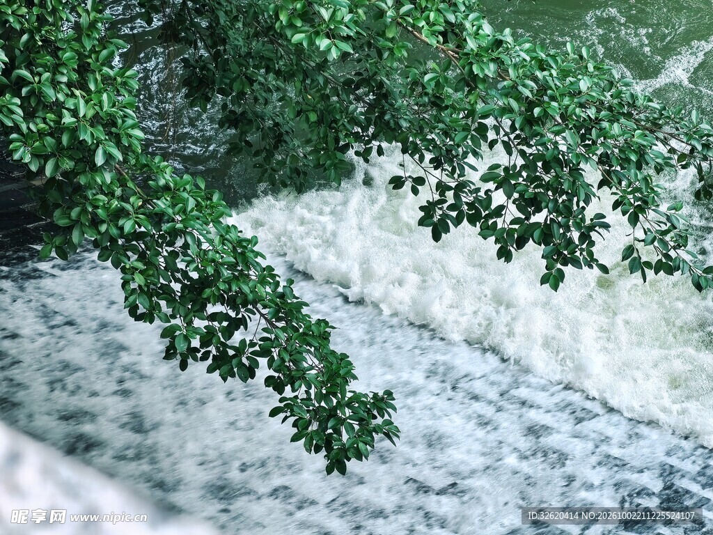 俯瞰林间湍急溪流