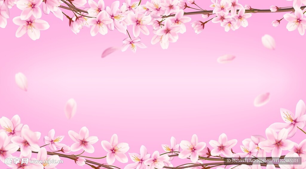 樱花背景展板
