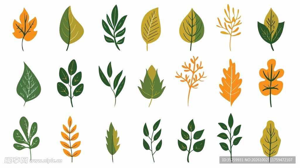 绿植插画合集