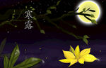 寒露节气月夜意境插画