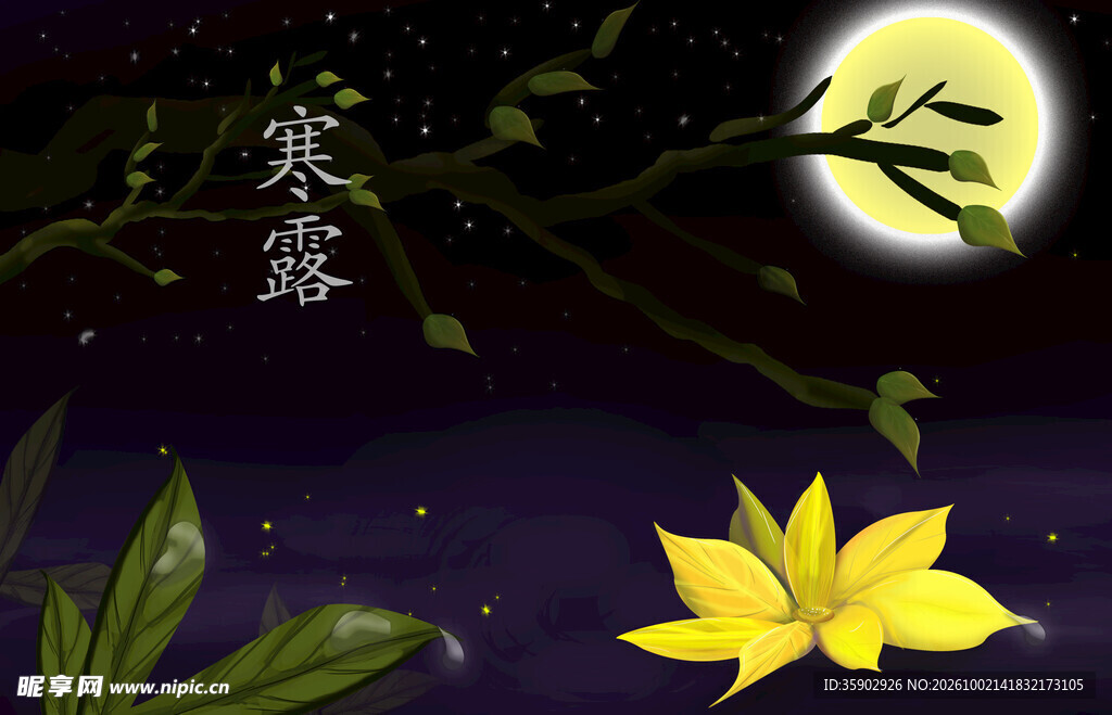寒露节气月夜意境插画