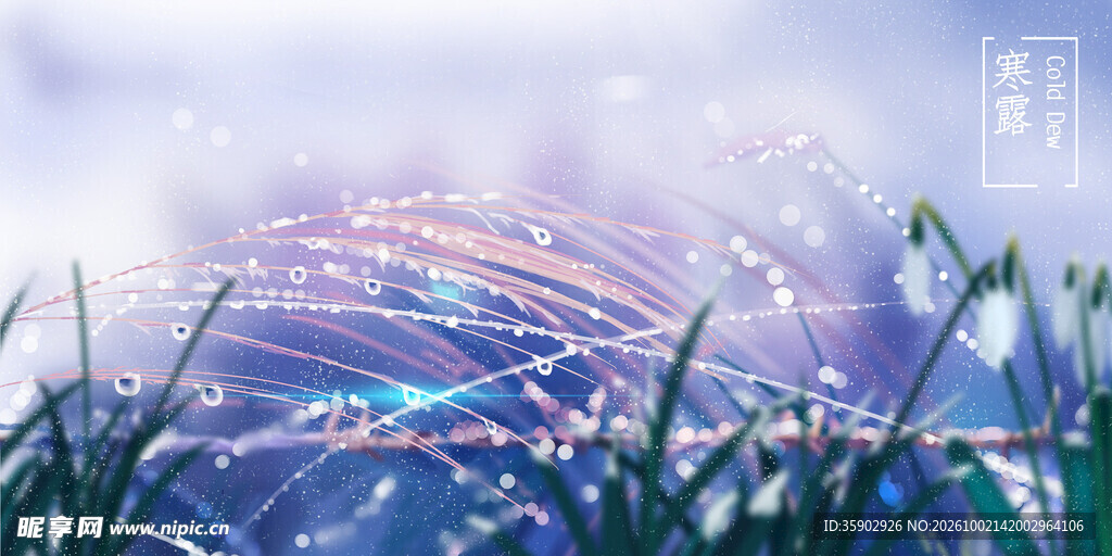 雨后草地彩虹美景