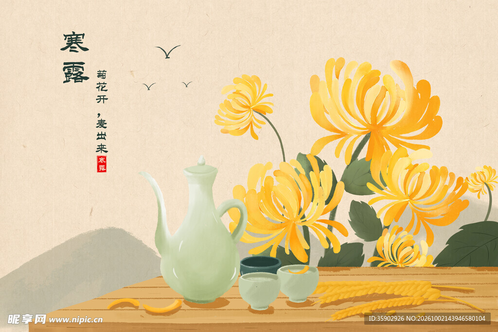 寒露秋菊国风插画