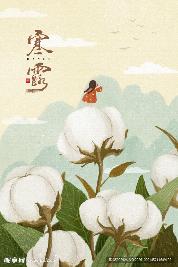 寒露节气棉花插画