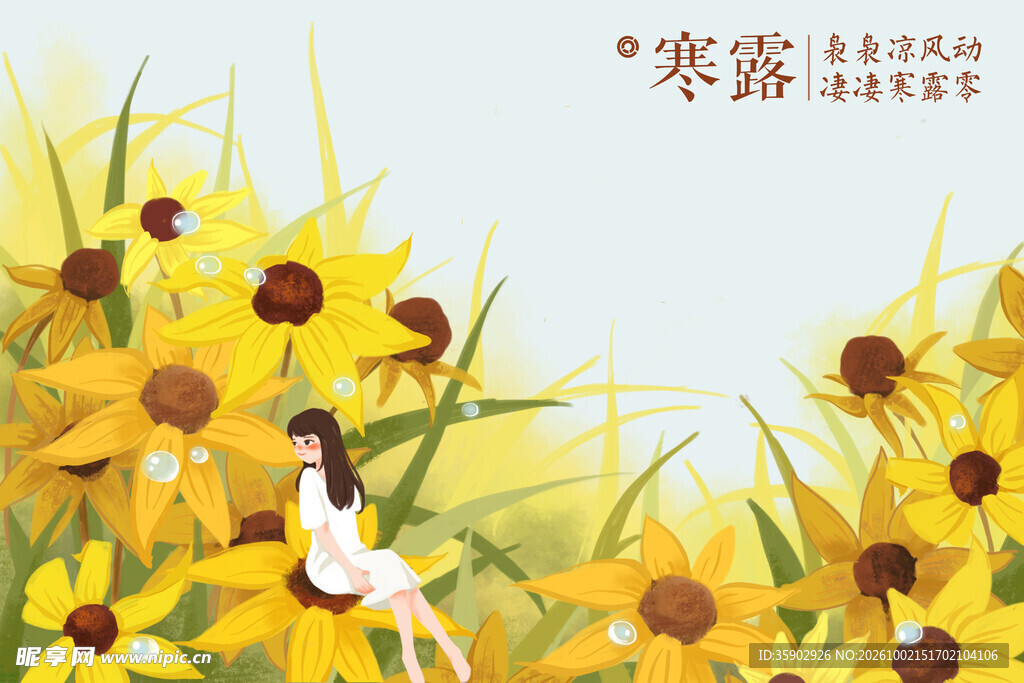 寒露花田少女插画