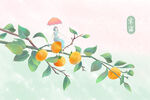 国风水彩柿子枝插画