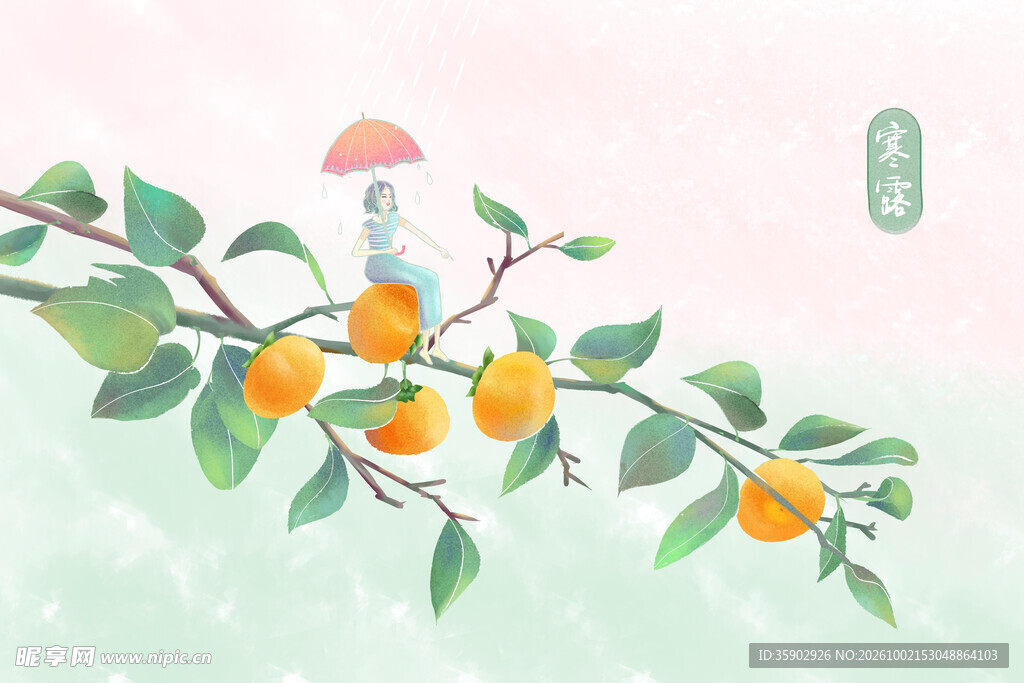 国风水彩柿子枝插画