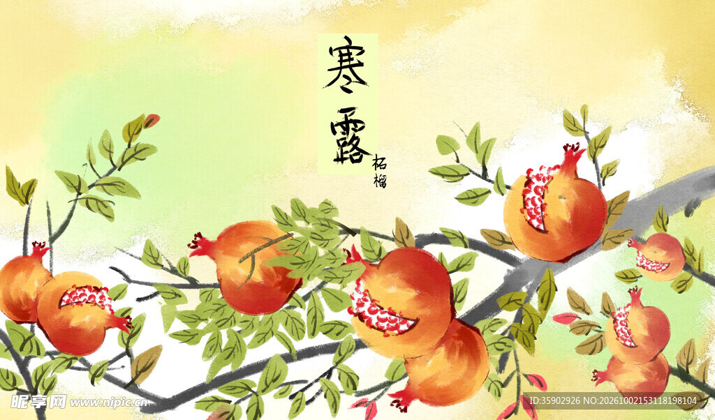 寒露石榴国风插画