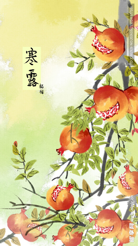 寒露石榴节气插画