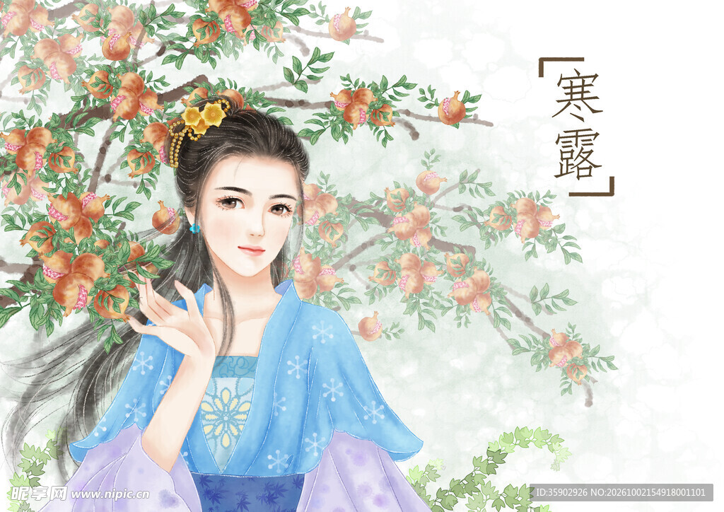 寒露古风仕女插画