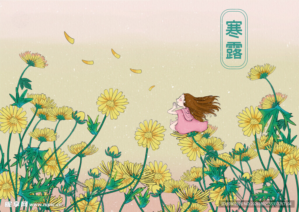 寒露节气花田插画