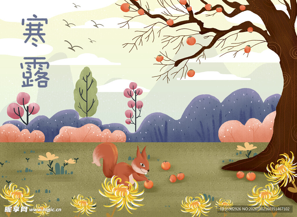 寒露节气手绘插画