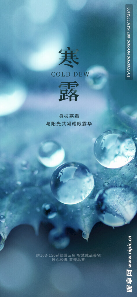 寒露节气露水主题海报