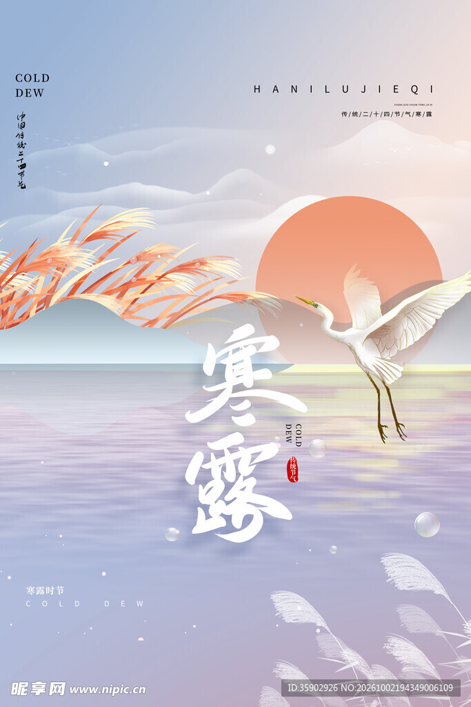 寒露节气国风插画海报