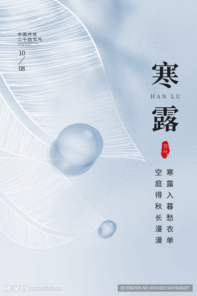 寒露节气简约海报