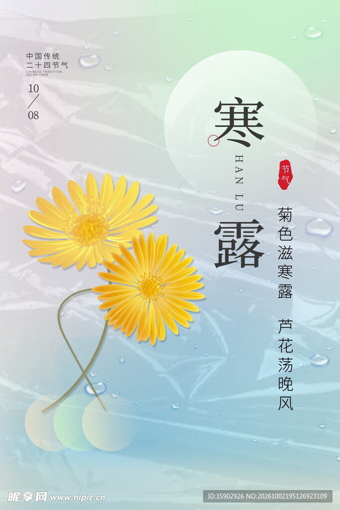 寒露节气菊花主题海报