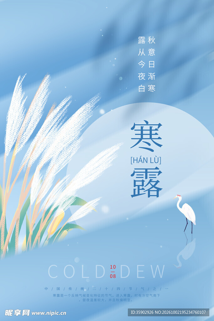 寒露节气清新海报