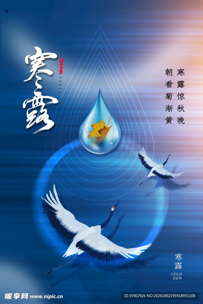 寒露节气创意海报