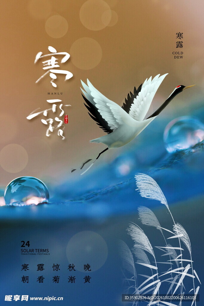 寒露节气主题海报