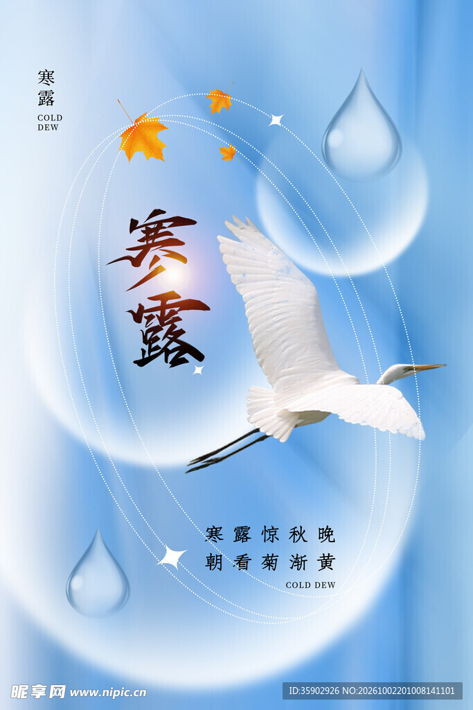 寒露节气创意宣传海报