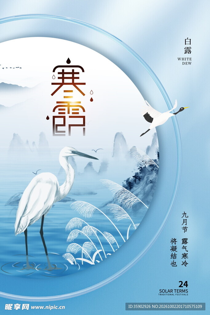 寒露节气创意海报