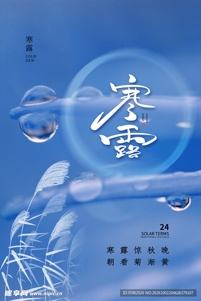 寒露节气创意海报