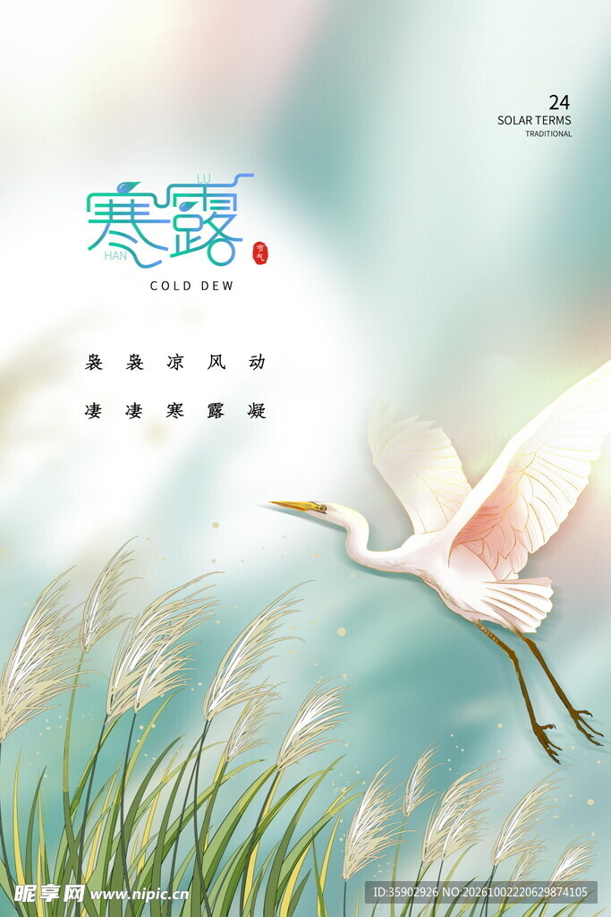 寒露节气白鹭主题海报