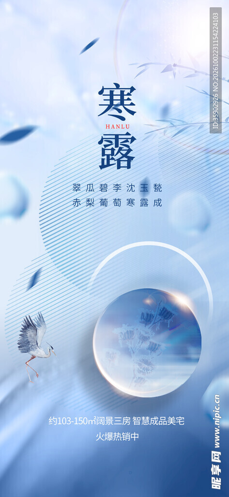 寒露节气清新海报