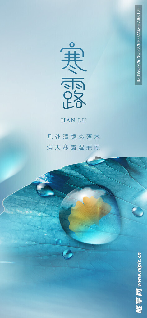 寒露节气清新海报