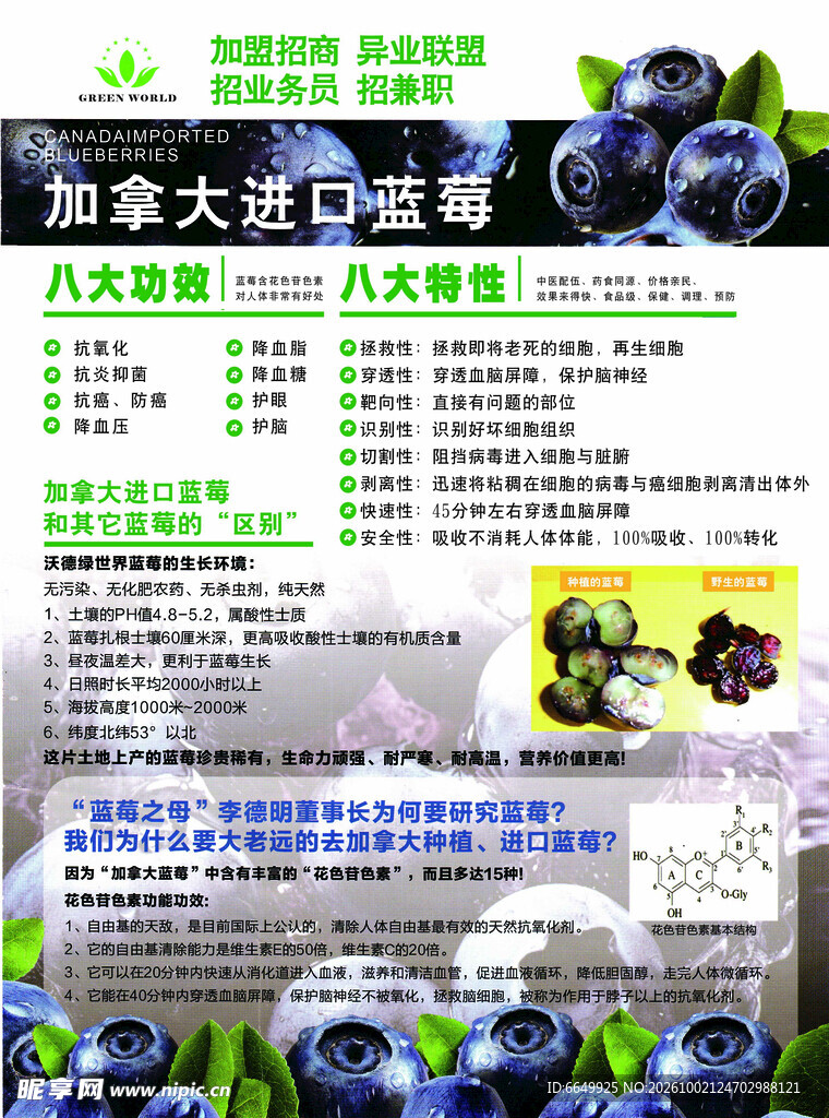 沃德绿产品宣传单正面