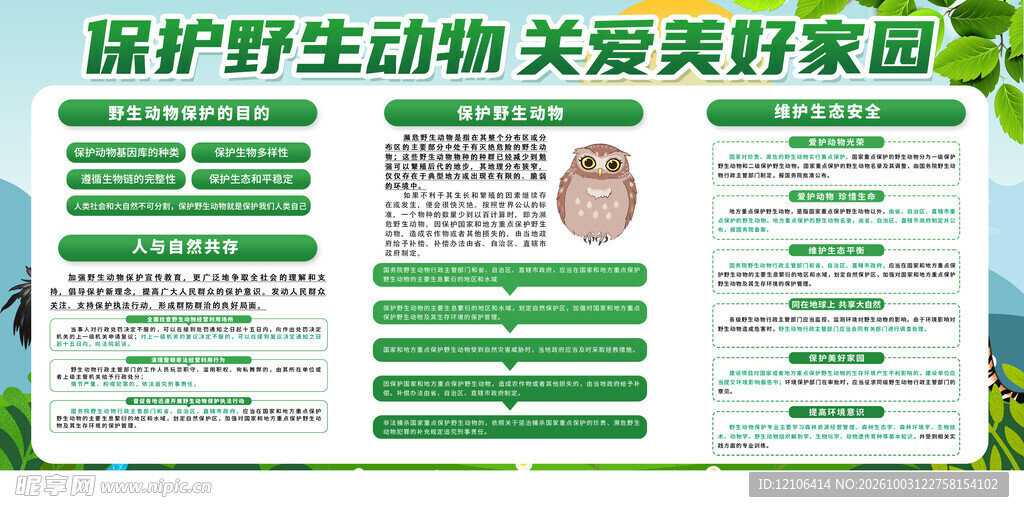 保护野生动物宣传展板