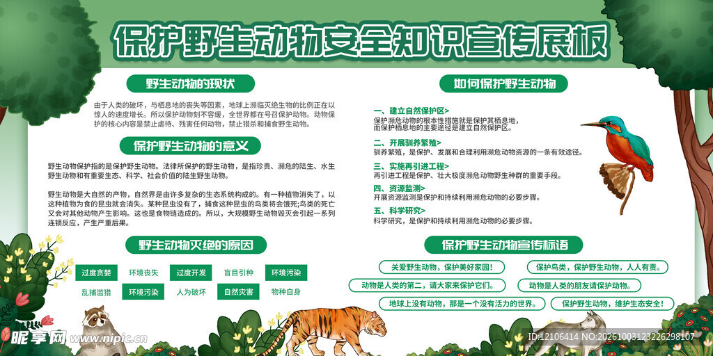 保护野生动物科普手抄报