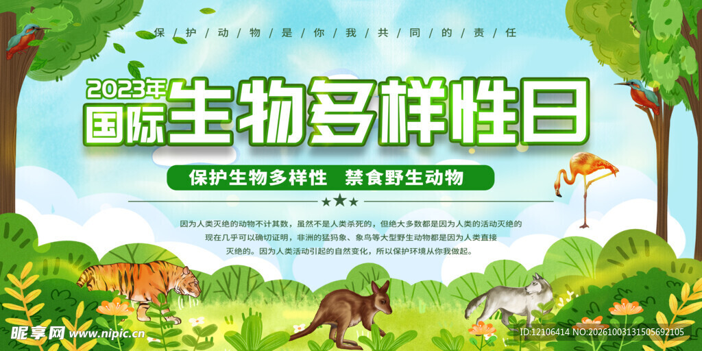 国际生物多样性日展板