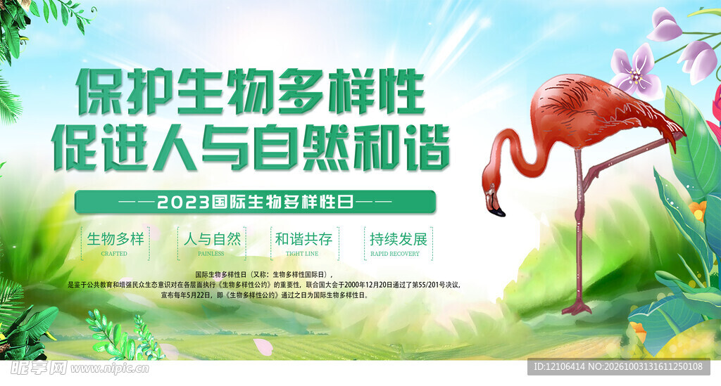 保护生物多样性宣传海报