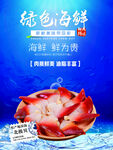 绿色海鲜北极贝海报
