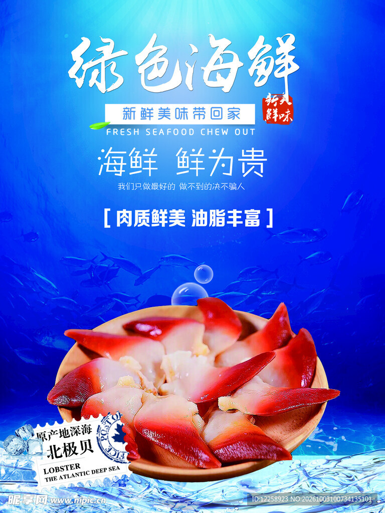 绿色海鲜北极贝海报